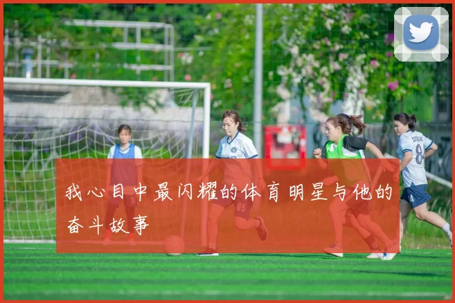 我心目中最闪耀的体育明星与他的奋斗故事